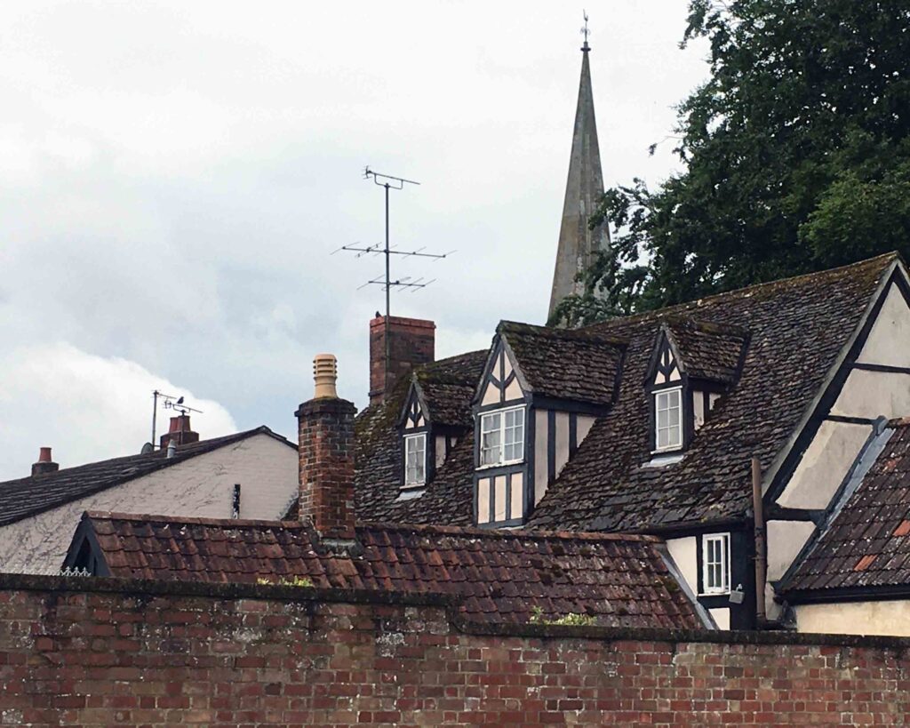 All the time in the world alphabetical days O Dewfall Hawk